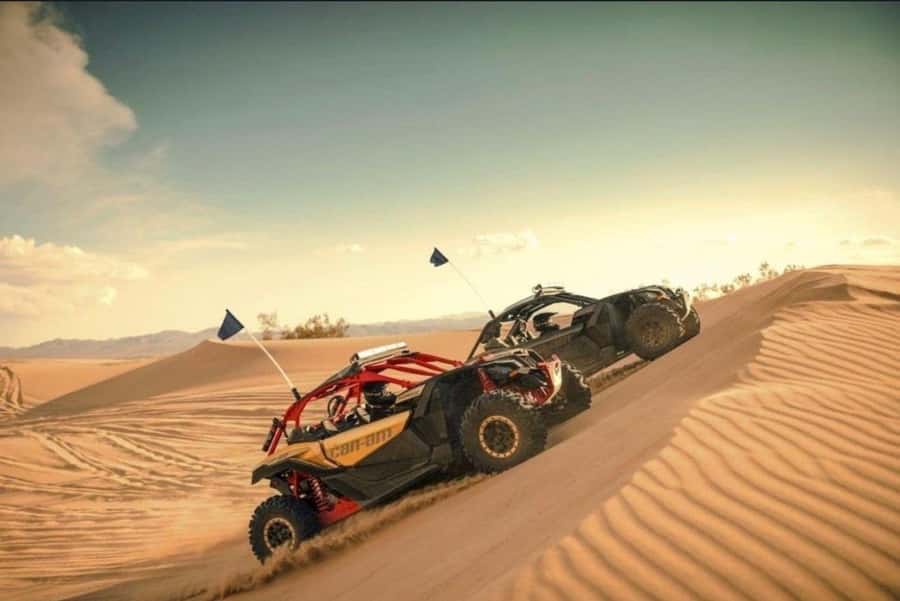 Doha: Desert Safari, Quad Bike, Camel Ride & Inland Sea Tour - The Inland Sea at sunset