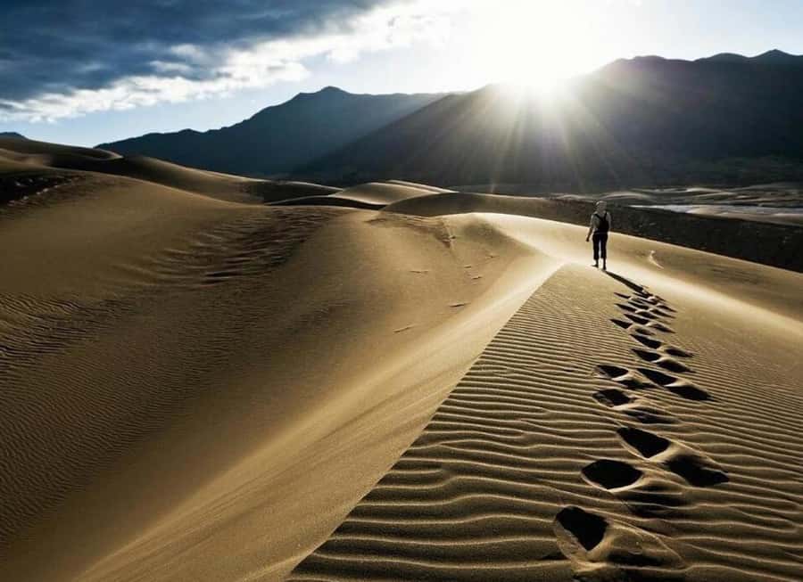 Doha: Desert Safari, Quad Biking, Sand Boarding & Camel Ride - From Doha to the open desert
