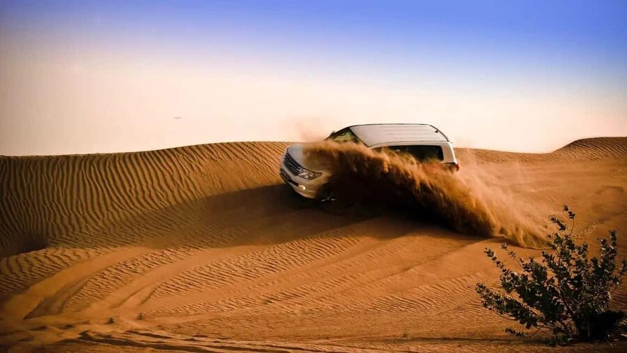 Doha: Desert Safari, Sandboarding, Camel Ride and Inland Sea - Mesaieed: a short pause before the dunes
