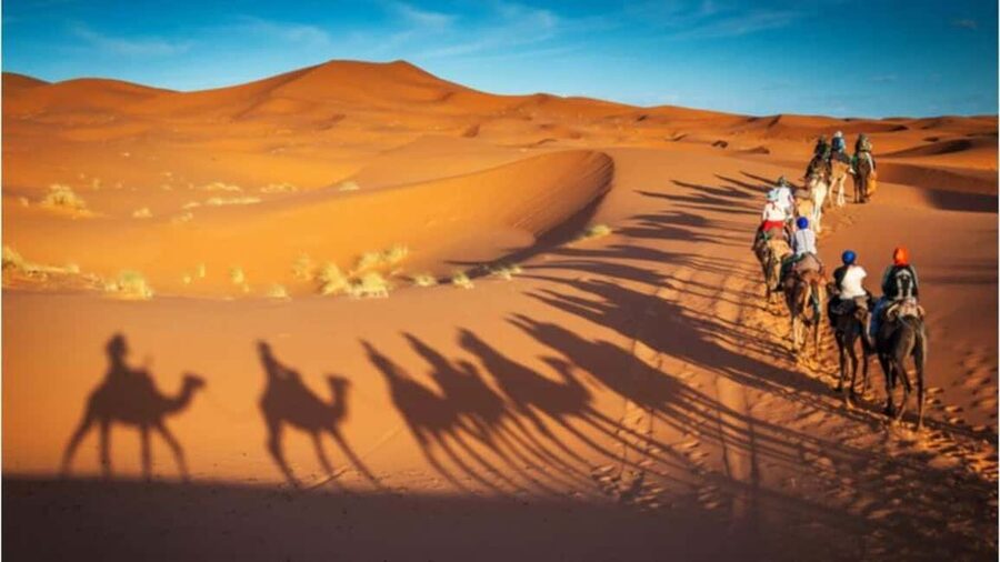 Doha: Desert Safari, Sandboarding, Camel Ride and Inland Sea - The Inland Sea and its quiet payoff