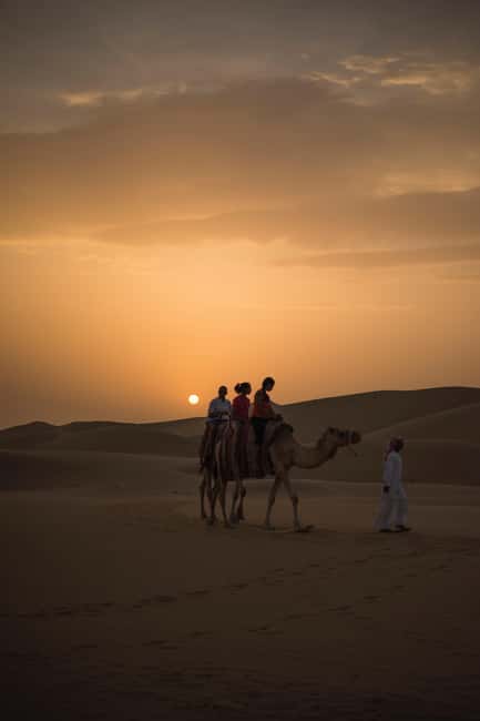 Doha: Desert Safari, Sandboarding, Camel Ride and Inland Sea - Camel rides and the tourist-stop question
