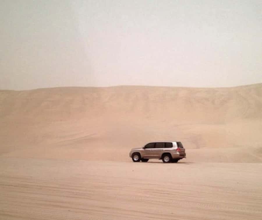 Doha Desert Safari: Sandboarding, Camel Ride & Swimming Fun - Quick Takeaways