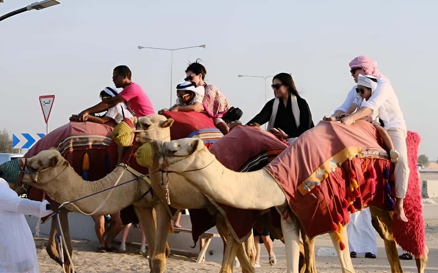 Doha: Desert Safari, Sandboarding, Dune Bashing & Inland Sea - What a $22 Qatar desert safari actually delivers