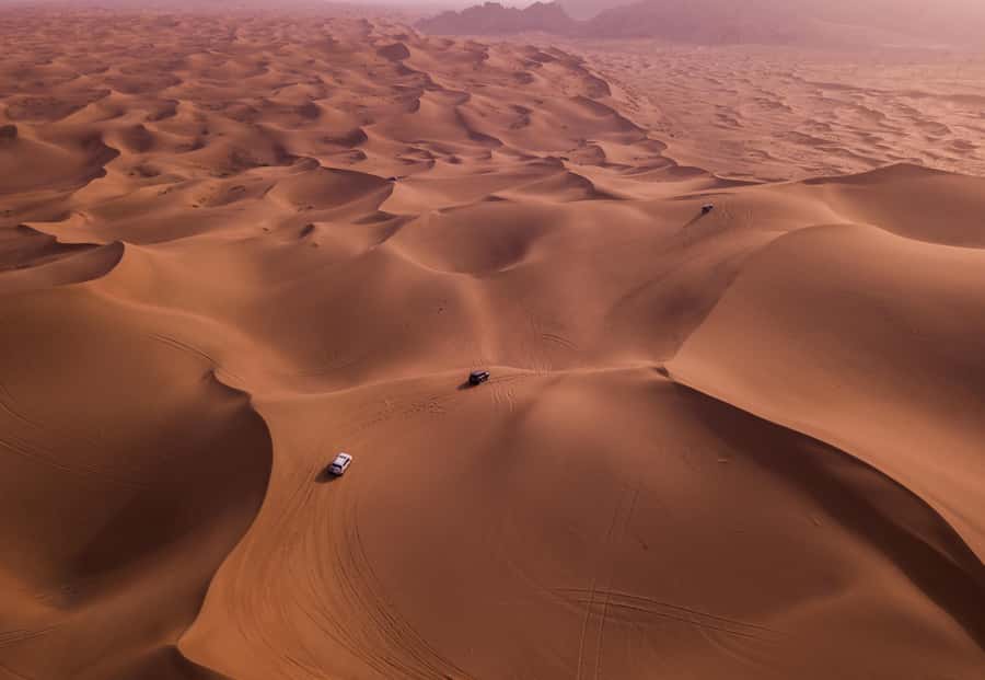 Doha: Desert Safari, Sandboarding, Dune Bashing & Inland Sea - Dune bashing across Qatar’s sand