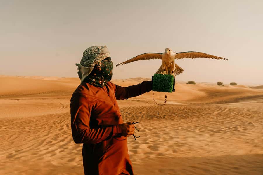Doha: Desert Safari, Sandboarding, Dune Bashing & Inland Sea - Sandboarding on the dunes