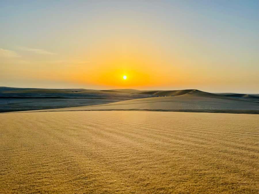 Doha: Desert Safari Sunrise Tour/Sunset Tour - Key points at a glance