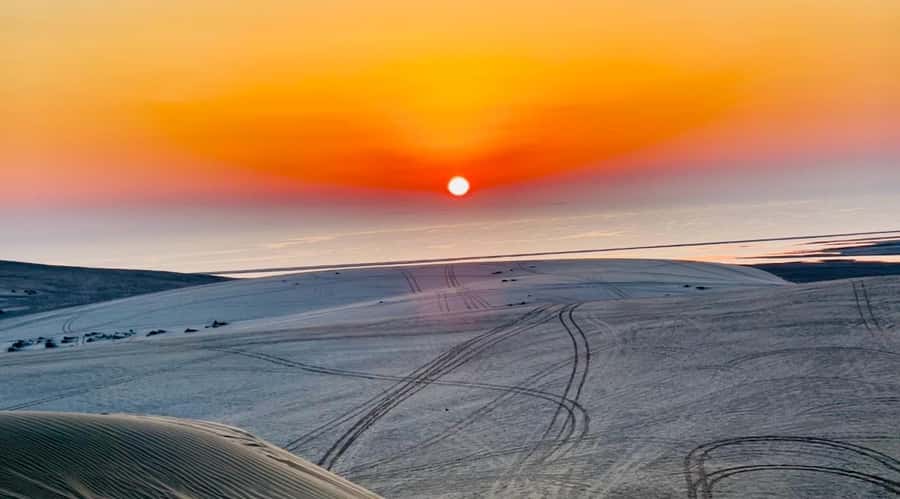 Doha: Desert Safari Sunrise Tour/Sunset Tour - From Doha to the Mesaieed dunes