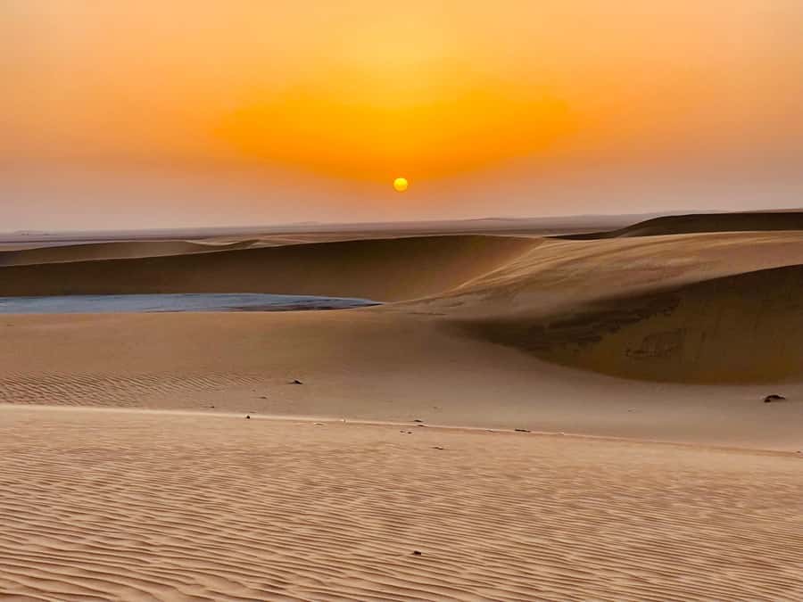 Doha: Desert Safari Sunrise Tour/Sunset Tour - Camel riding in Mesaieed