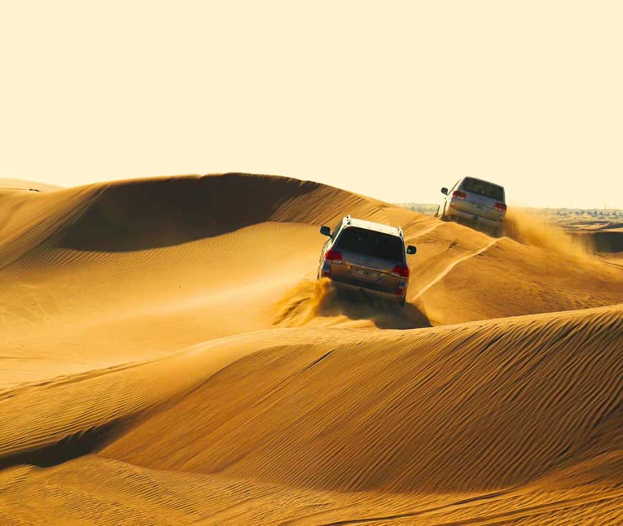 "Doha Desert Safari with all activities" - Dune bashing for 40 minutes