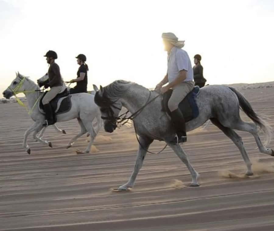Doha: Desert Safari with Camel Ride and Quad Bike and Buggy - Key points to know before you go