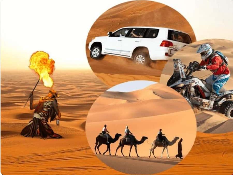 Doha:Desert Safari with Camel Ride, ATV Bike,& Sand Boarding - The camel ride offers a slower look at the sand