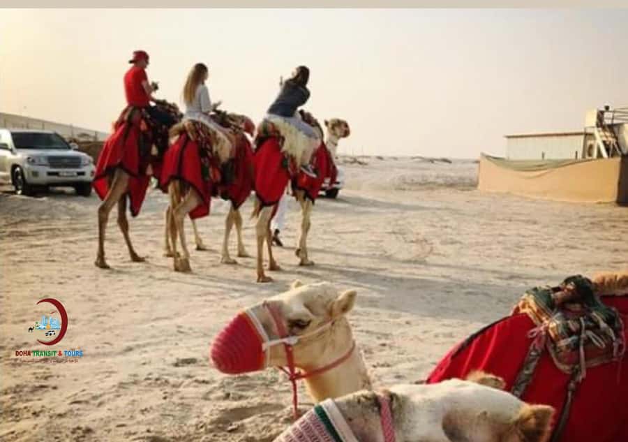 Doha: Desert Safari with Dune Bashing and Inland Sea - Who will enjoy this four-hour safari