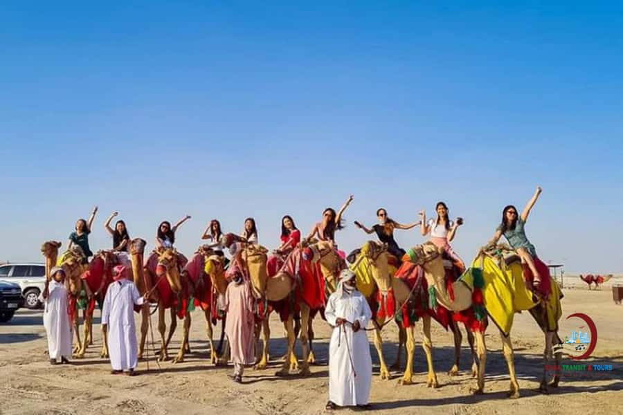Doha: Desert Safari with Dune Bashing and Inland Sea - Sandboarding for 30 minutes