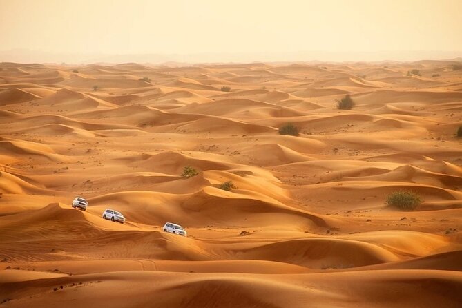 Doha: Desert Safari With Quad bike ,Camel Ride And Sand Boarding - Sandboarding, camel riding, and falconry