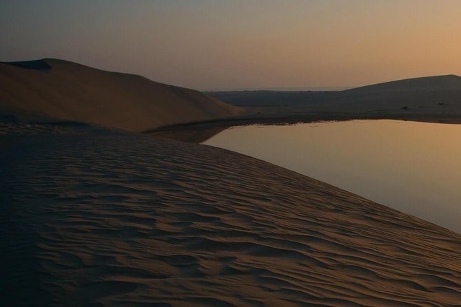 Doha: Desert Safari With Quad bike ,Camel Ride And Sand Boarding - The guide can shape the whole morning