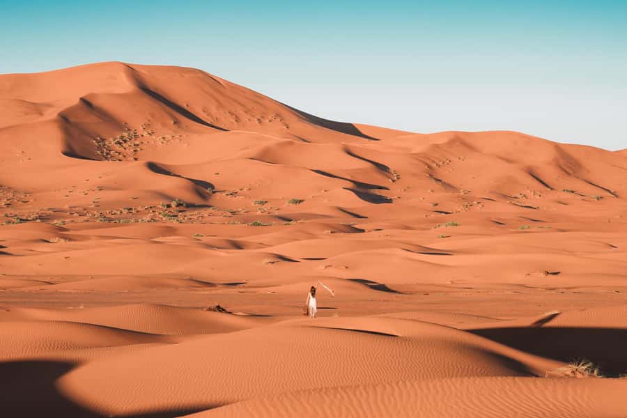 Doha: Desert Safari with Quad Bike, Sandboard & Camel Ride - Camels, falcons, and a short taste of Bedouin life