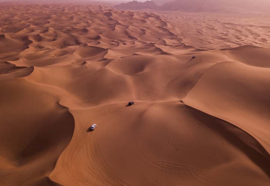 Doha: Desert Safari with Quad Bike, Sandboard & Camel Ride - What the $24 price really covers