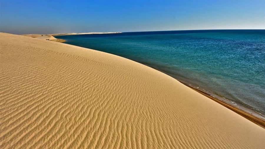 Doha: DesertSafari with Quad Bike, Camel Ride & Sandboarding - Key points to know before booking