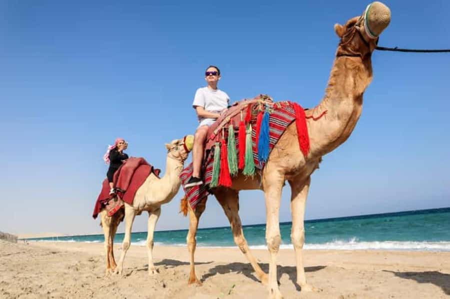 Doha: DesertSafari with Quad Bike, Camel Ride & Sandboarding - Optional 250cc quad biking on a desert track