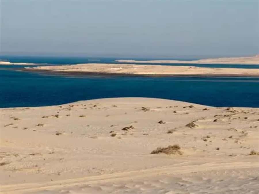 Doha: DesertSafari with Quad Bike, Camel Ride & Sandboarding - What the $18 price really gives you