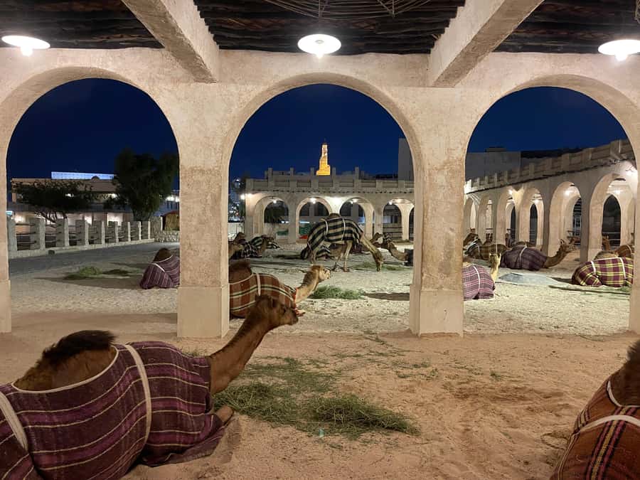 Doha: Doha Highlights City tour with Licensed tour guide - Souq Waqif is the tour’s most atmospheric stop