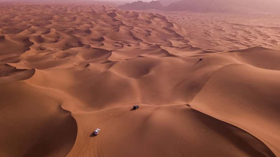 Doha: Dune Bashing Safari, Falcon, Camel, ATV, Sandboarding - From Doha to Sealine in an air-conditioned Land Cruiser
