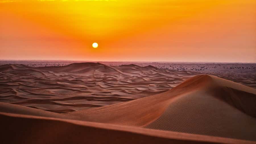 Doha: Dune Bashing Safari, Falcon, Camel, ATV, Sandboarding - Camels, falcons, and the limits of the first stop