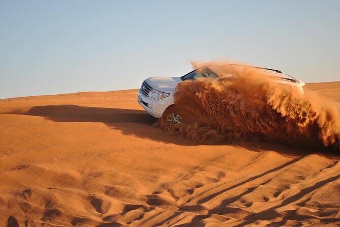 Doha: Escape to Eternity, Relaxing Desert Wonders with Camel Ride - A calm safari, with one important contradiction