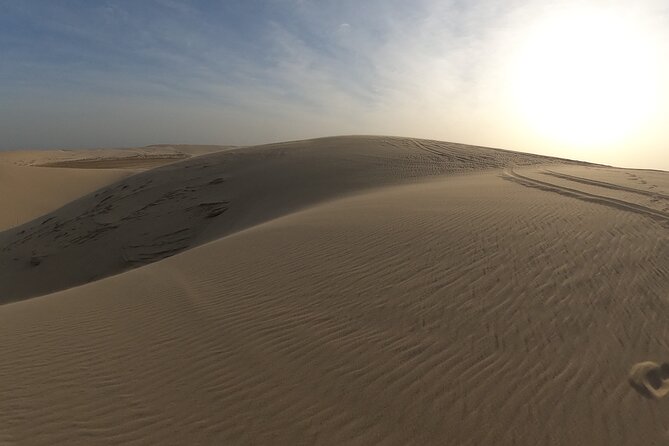 Doha: Escape to Eternity, Relaxing Desert Wonders with Camel Ride - Is $79 good value?