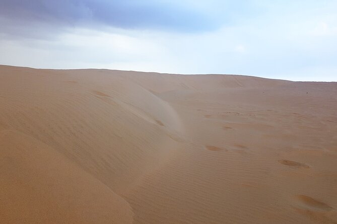 Doha: Escape to Eternity, Relaxing Desert Wonders with Camel Ride - Who will enjoy this desert trip most?