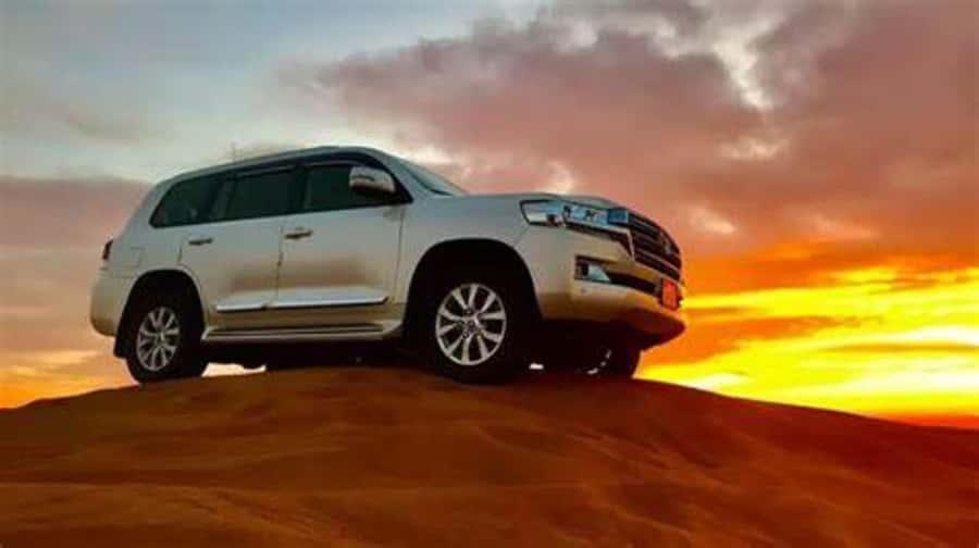 Doha: Full-Day Desert Safari, Dune Bashing & BBQ Dinner - Key points to know before booking