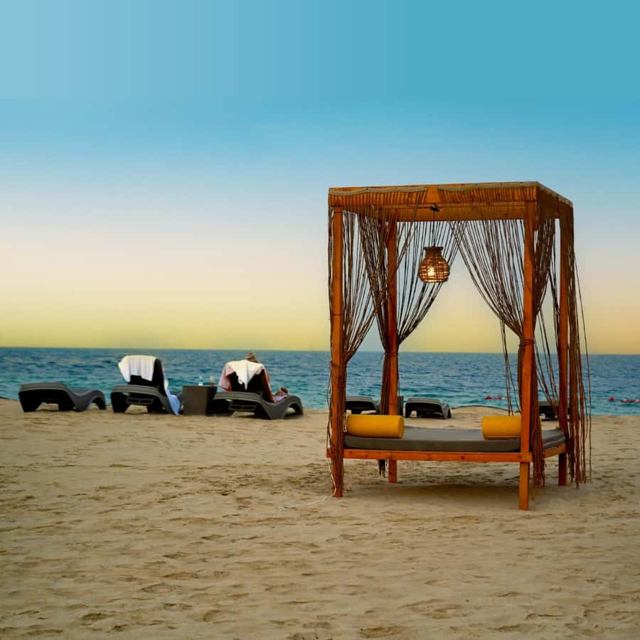 Doha: Full-Day Desert Safari, Dune Bashing & BBQ Dinner - From Doha to Sealine in a private 4x4