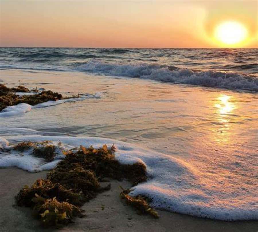 Doha: Full-Day Desert Safari, Dune Bashing & BBQ Dinner - The Inland Sea, Qatar’s scenic payoff