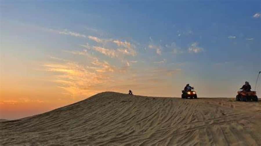 Doha: Full-Day Desert Safari, Dune Bashing & BBQ Dinner - Who will enjoy this desert day most