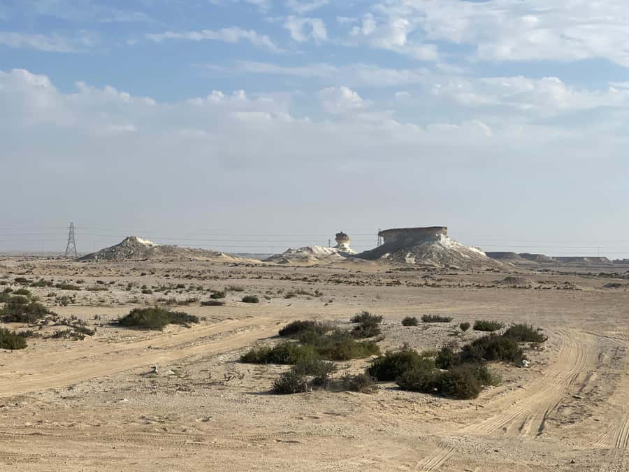 Doha Full Day North & West Tour | Rich History & culture - Al Thakira mangroves in 30 minutes