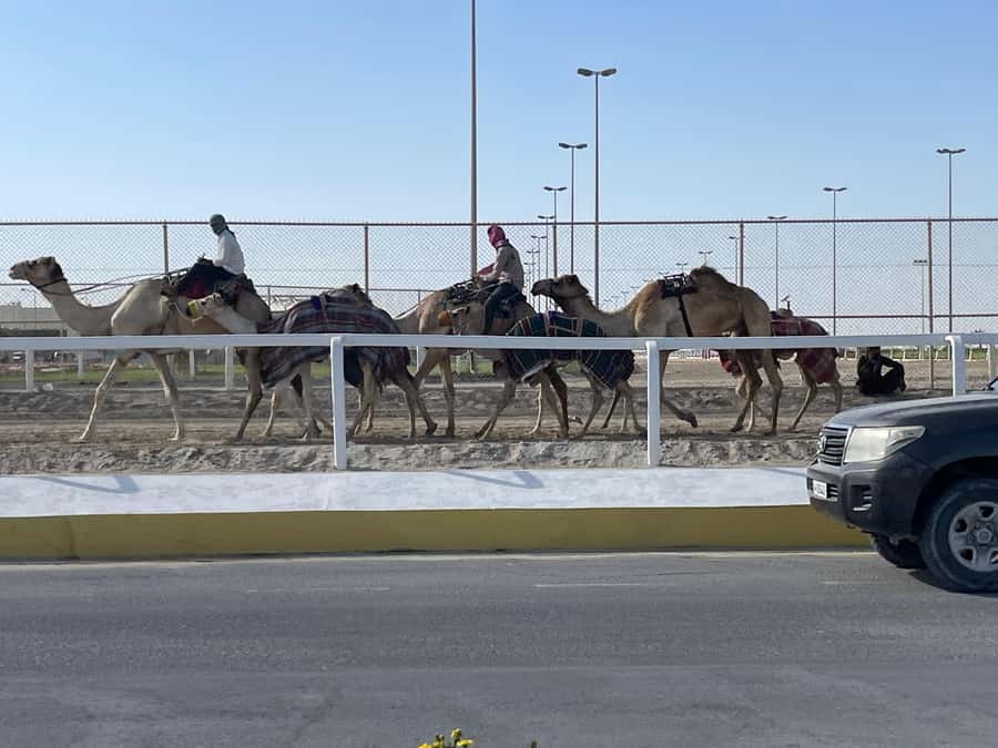 Doha Full Day North & West Tour | Rich History & culture - Zekreet and the remains of older villages