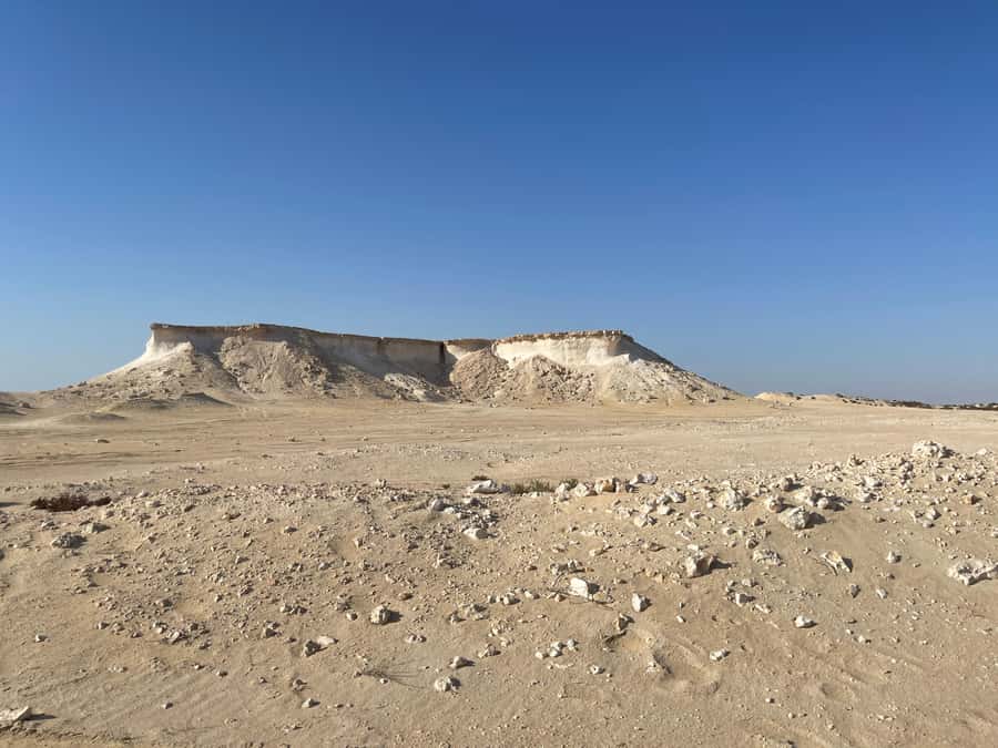 Doha Full Day North & West Tour | Rich History & culture - Price, food, and practical value at $136