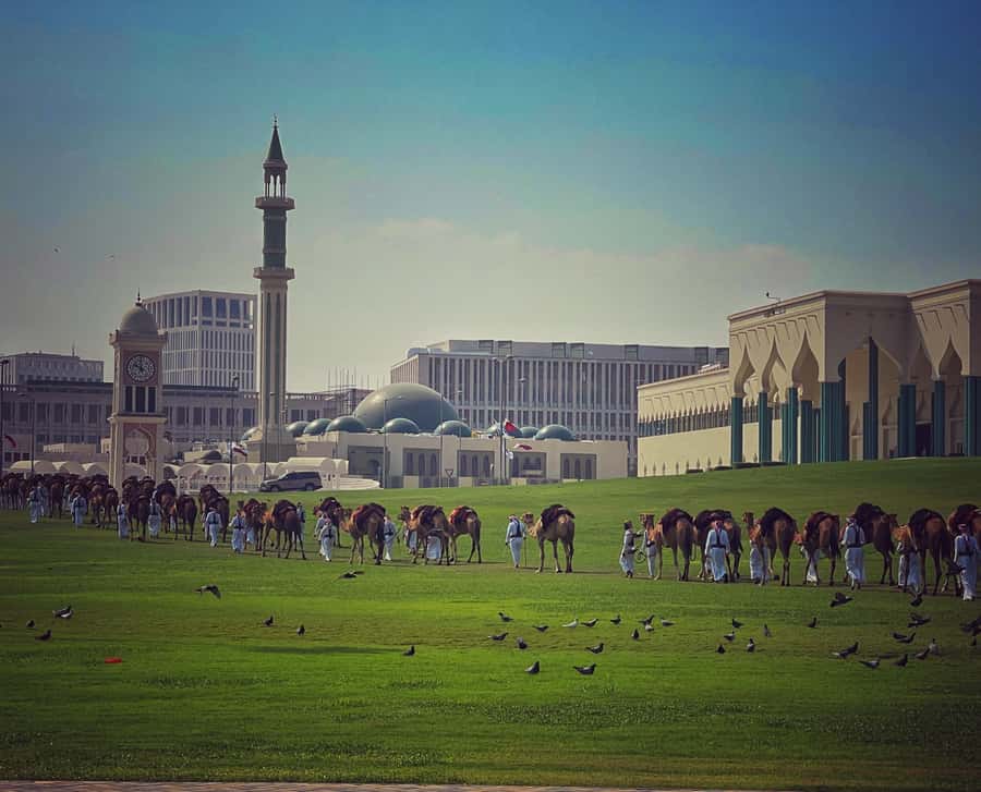 Doha: Guided City Tour to Souq Waqif, katara & pearl-island - Dhow Harbour and West Bay: Doha in One Wide-Angle View
