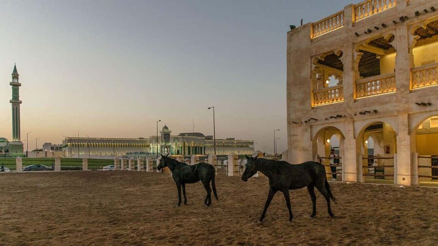 Doha Guided City Tour to Souq Waqif, Katara, & Pearl-Qatar - Should you book it?