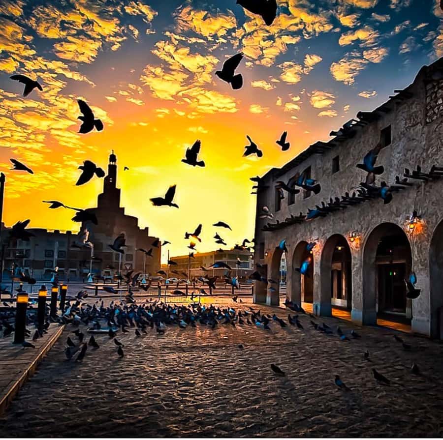Doha: Guided City Tour with Hotel or Airport Transfer - Key points at a glance