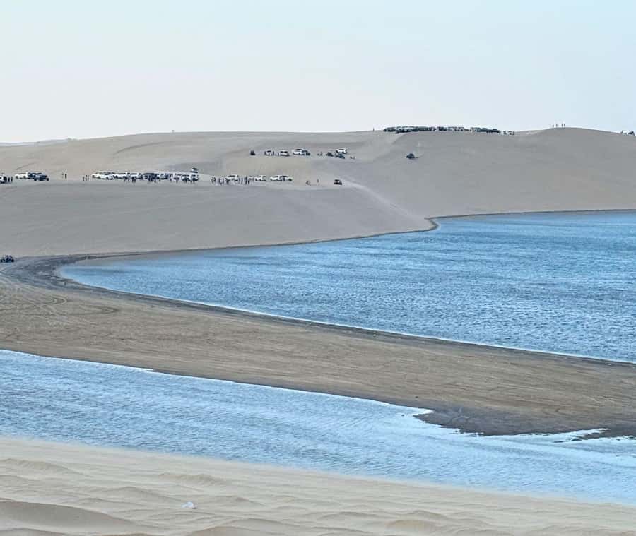 Doha: Guided Desert Safari Tour with Pickup & Drop Service - Quick takeaways from the desert safari
