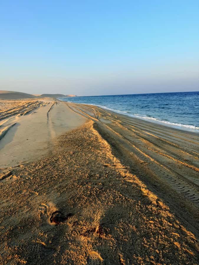 Doha: Guided Desert Safari Tour with Pickup & Drop Service - Mesaieed and the first serious dune bashing