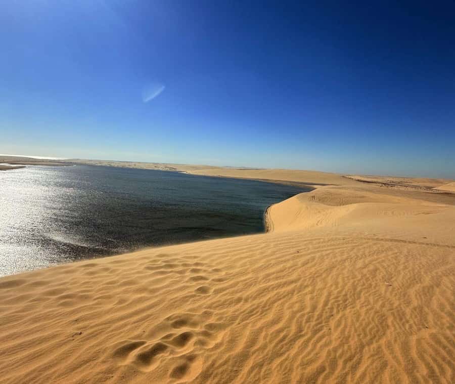 Doha: Guided Desert Safari Tour with Pickup & Drop Service - Camel rides, quad bikes, and package details