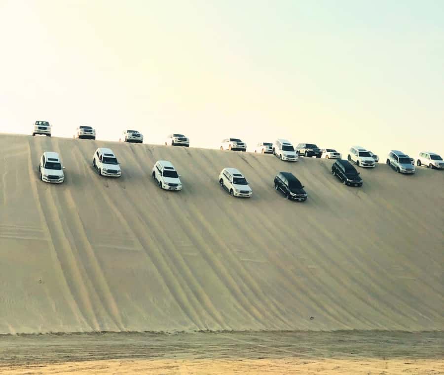 Doha: Guided Desert Safari Tour with Pickup & Drop Service - Who will enjoy this outing most