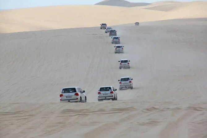Doha Half Day Desert Safari Dune Bashing CamelRide & Sandboarding - Sandboarding on soft Qatar sand