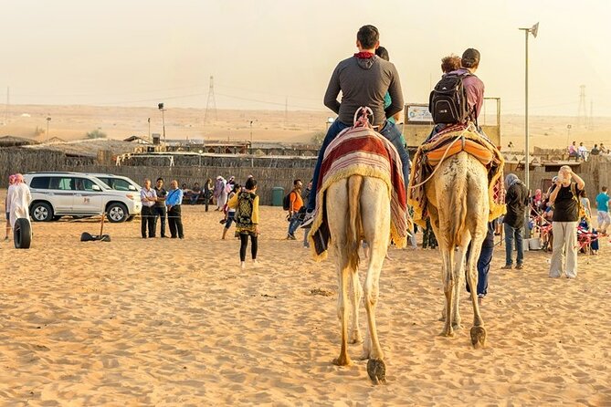 Doha Half Day Desert Safari Dune Bashing CamelRide & Sandboarding - What the $44 price really covers