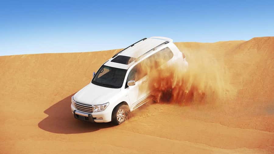 Doha: Half Day Desert Safari From Airport/Hotel/Cruise Port - Key points to know before booking