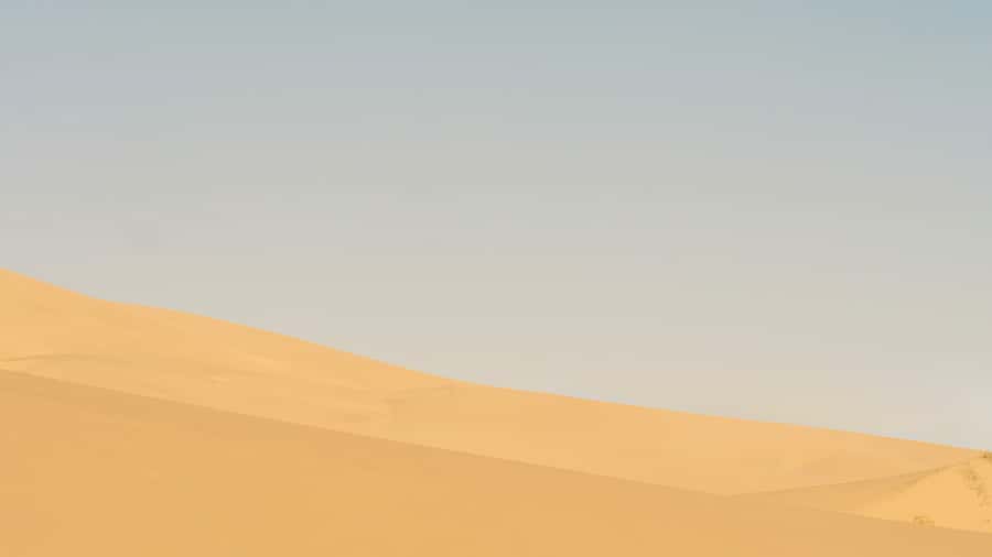 Doha: Half Day Desert Safari From Airport/Hotel/Cruise Port - Why Khor Al Adaid is worth the drive