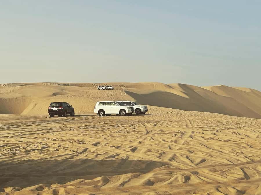 Doha: Half Day Desert Safari From Airport/Hotel/Cruise Port - A short camel ride in Mesaieed