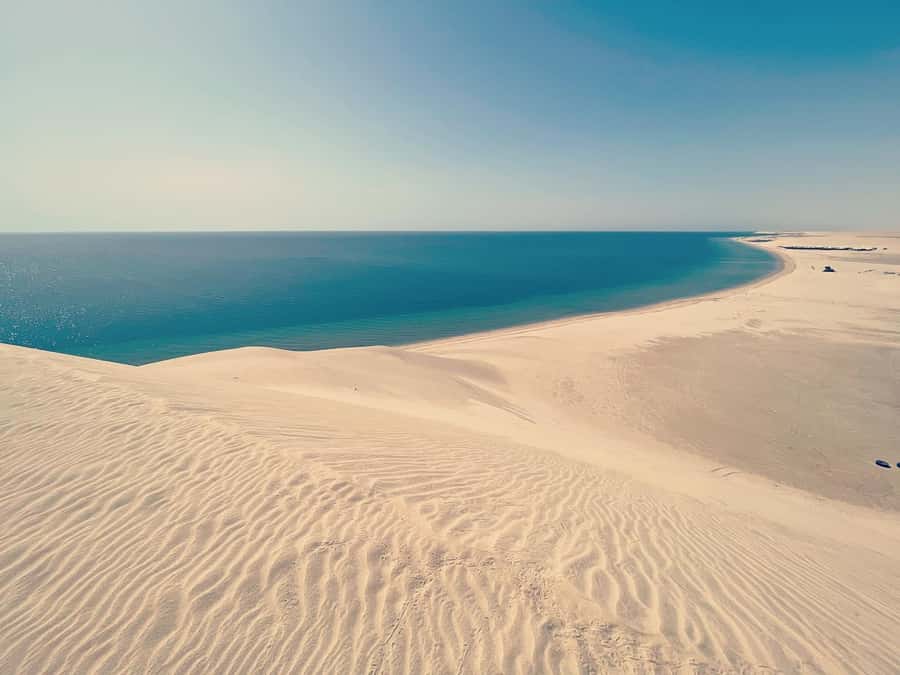 Doha: Half Day Desert Safari From Airport/Hotel/Cruise Port - The driver can make or break the outing